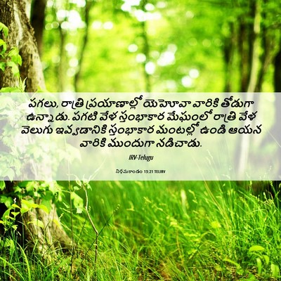 Picture 06 - నిర్గమకాండం 13:21 TELIRV - పగలు, రాత్రి - Bible Verse Picture