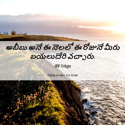 Picture 06 - నిర్గమకాండం 13:4 TELIRV - అబీబు అనే ఈ నెలలో ఈ - Bible Verse Picture