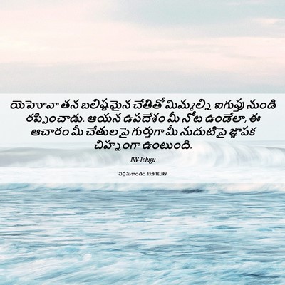 Picture 06 - నిర్గమకాండం 13:9 TELIRV - యెహోవా తన - Bible Verse Picture