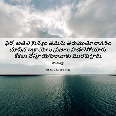 Picture 06 - నిర్గమకాండం 14:10 TELIRV - ఫరో, అతని సైన్యం - Bible Verse Picture