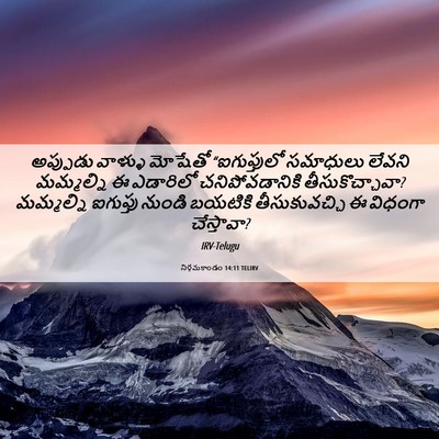 Picture 06 - నిర్గమకాండం 14:11 TELIRV - అప్పుడు వాళ్ళు - Bible Verse Picture