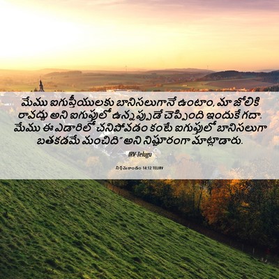 Picture 06 - నిర్గమకాండం 14:12 TELIRV - మేము ఐగుప్తీయులకు - Bible Verse Picture