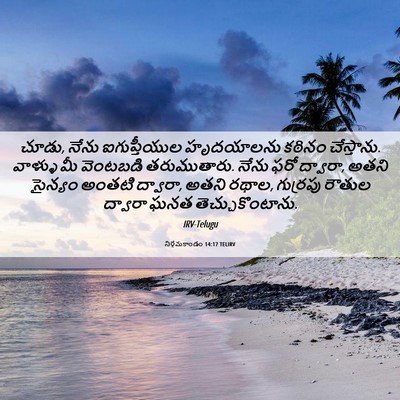 Picture 06 - నిర్గమకాండం 14:17 TELIRV - చూడు, నేను - Bible Verse Picture