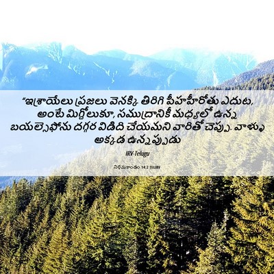 Picture 06 - నిర్గమకాండం 14:2 TELIRV - “ఇశ్రాయేలు ప్రజలు - Bible Verse Picture