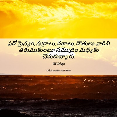 Picture 06 - నిర్గమకాండం 14:23 TELIRV - ఫరో సైన్యం, - Bible Verse Picture