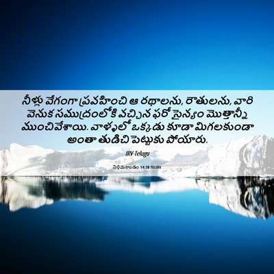 Picture 06 - నిర్గమకాండం 14:28 TELIRV - నీళ్లు వేగంగా - Bible Verse Picture