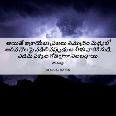 Picture 06 - నిర్గమకాండం 14:29 TELIRV - అయితే ఇశ్రాయేలు - Bible Verse Picture