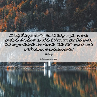 Picture 06 - నిర్గమకాండం 14:4 TELIRV - నేను ఫరో - Bible Verse Picture