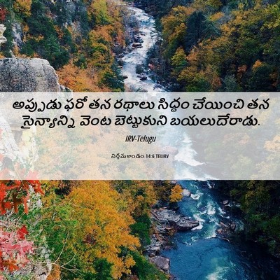 Picture 06 - నిర్గమకాండం 14:6 TELIRV - అప్పుడు ఫరో తన - Bible Verse Picture