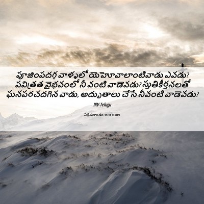 Picture 06 - నిర్గమకాండం 15:11 TELIRV - పూజింపదగ్గ - Bible Verse Picture