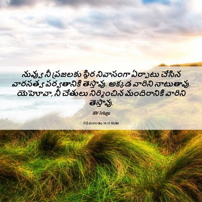 Picture 06 - నిర్గమకాండం 15:17 TELIRV - నువ్వు నీ ప్రజలకు - Bible Verse Picture
