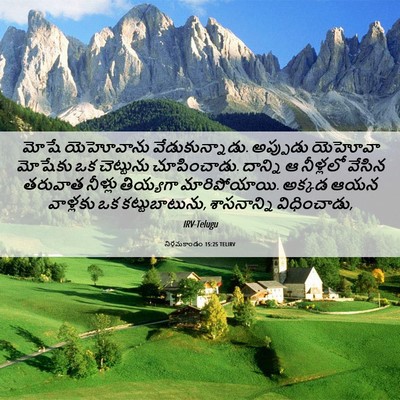 Picture 06 - నిర్గమకాండం 15:25 TELIRV - మోషే యెహోవాను - Bible Verse Picture