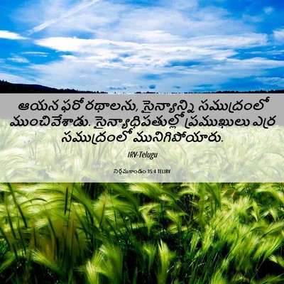 Picture 06 - నిర్గమకాండం 15:4 TELIRV - ఆయన ఫరో రథాలను, - Bible Verse Picture