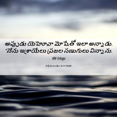 Picture 06 - నిర్గమకాండం 16:11 TELIRV - అప్పుడు యెహోవా - Bible Verse Picture