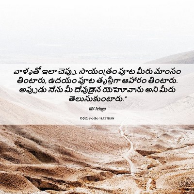 Picture 06 - నిర్గమకాండం 16:12 TELIRV - వాళ్ళతో ఇలా - Bible Verse Picture