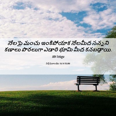 Picture 06 - నిర్గమకాండం 16:14 TELIRV - నేలపై మంచు - Bible Verse Picture