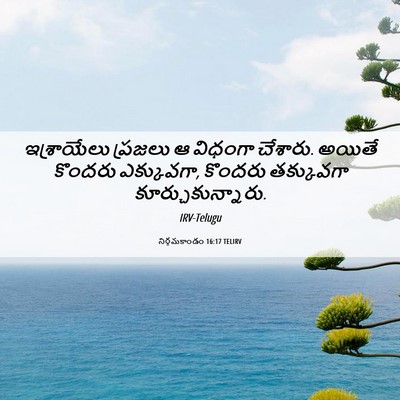 Picture 06 - నిర్గమకాండం 16:17 TELIRV - ఇశ్రాయేలు ప్రజలు - Bible Verse Picture