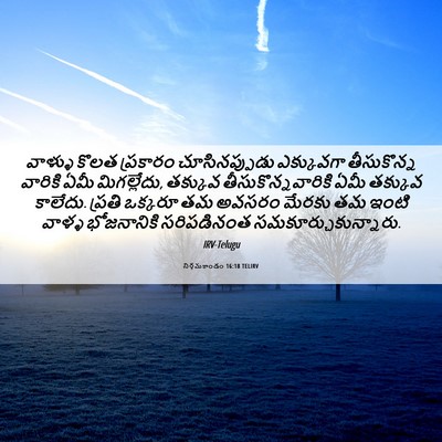 Picture 06 - నిర్గమకాండం 16:18 TELIRV - వాళ్ళు కొలత - Bible Verse Picture