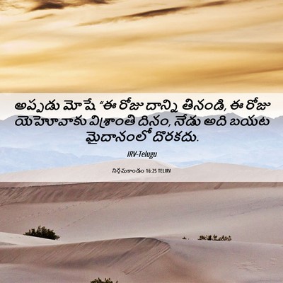 Picture 06 - నిర్గమకాండం 16:25 TELIRV - అప్పడు మోషే “ఈ - Bible Verse Picture