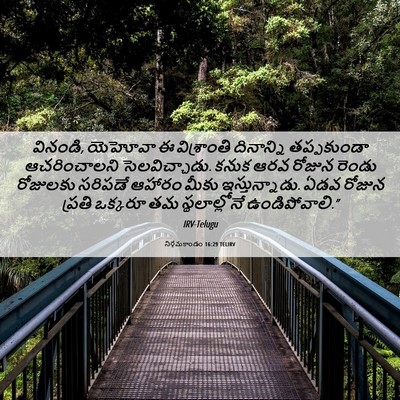 Picture 06 - నిర్గమకాండం 16:29 TELIRV - వినండి, యెహోవా ఈ - Bible Verse Picture