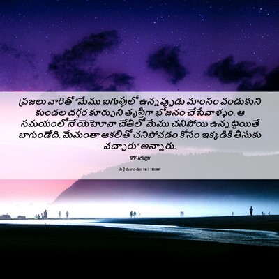 Picture 06 - నిర్గమకాండం 16:3 TELIRV - ప్రజలు వారితో - Bible Verse Picture