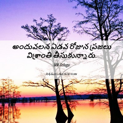 Picture 06 - నిర్గమకాండం 16:30 TELIRV - అందువలన ఏడవ రోజున - Bible Verse Picture