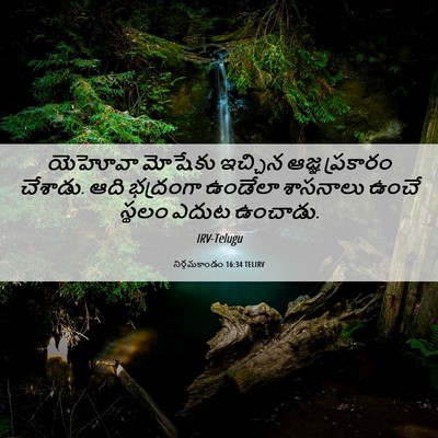 Picture 06 - నిర్గమకాండం 16:34 TELIRV - యెహోవా మోషేకు - Bible Verse Picture
