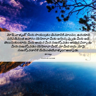 Picture 06 - నిర్గమకాండం 16:8 TELIRV - మోషే వాళ్ళతో - Bible Verse Picture