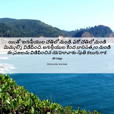 Picture 06 - నిర్గమకాండం 18:10 TELIRV - యిత్రో - Bible Verse Picture