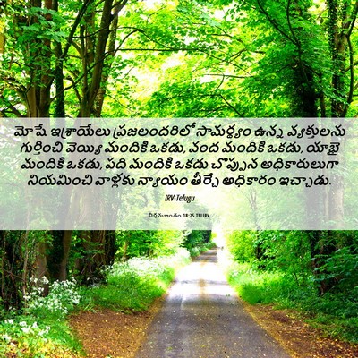 Picture 06 - నిర్గమకాండం 18:25 TELIRV - మోషే ఇశ్రాయేలు - Bible Verse Picture