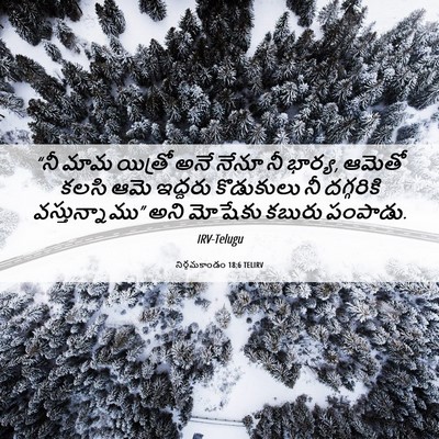 Picture 06 - నిర్గమకాండం 18:6 TELIRV - “నీ మామ యిత్రో అనే - Bible Verse Picture