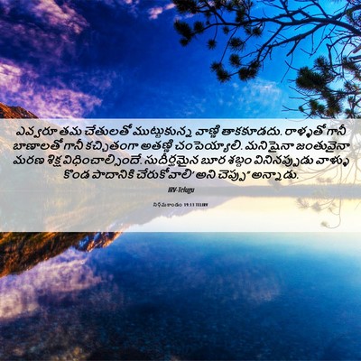 Picture 06 - నిర్గమకాండం 19:13 TELIRV - ఎవ్వరూ తమ చేతులతో - Bible Verse Picture
