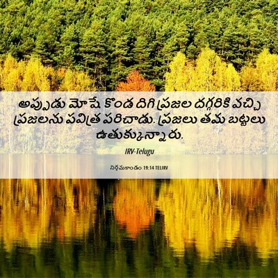 Picture 06 - నిర్గమకాండం 19:14 TELIRV - అప్పుడు మోషే కొండ - Bible Verse Picture