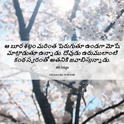 Picture 06 - నిర్గమకాండం 19:19 TELIRV - ఆ బూర శబ్దం మరింత - Bible Verse Picture