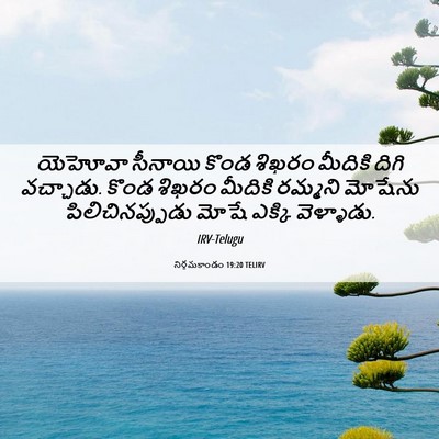 Picture 06 - నిర్గమకాండం 19:20 TELIRV - యెహోవా సీనాయి - Bible Verse Picture