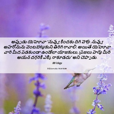 Picture 06 - నిర్గమకాండం 19:24 TELIRV - అప్పుడు యెహోవా - Bible Verse Picture