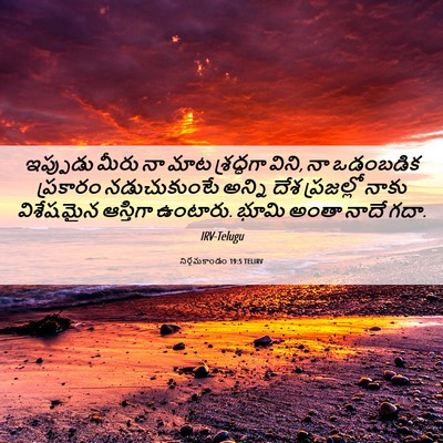 Picture 06 - నిర్గమకాండం 19:5 TELIRV - ఇప్పుడు మీరు నా - Bible Verse Picture