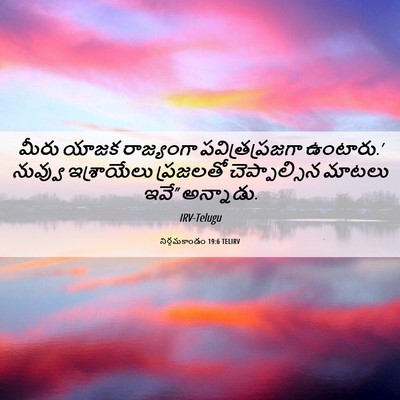 Picture 06 - నిర్గమకాండం 19:6 TELIRV - మీరు యాజక - Bible Verse Picture
