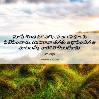 Picture 06 - నిర్గమకాండం 19:7 TELIRV - మోషే కొండ దిగి - Bible Verse Picture
