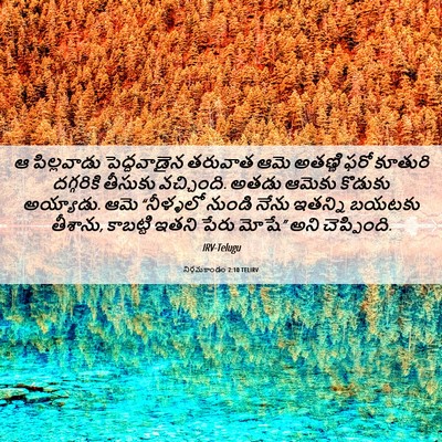 Picture 06 - నిర్గమకాండం 2:10 TELIRV - ఆ పిల్లవాడు - Bible Verse Picture