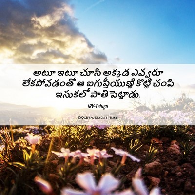 Picture 06 - నిర్గమకాండం 2:12 TELIRV - అటూ ఇటూ చూసి అక్కడ - Bible Verse Picture