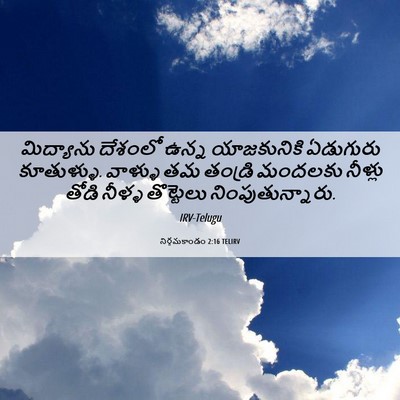 Picture 06 - నిర్గమకాండం 2:16 TELIRV - మిద్యాను దేశంలో - Bible Verse Picture