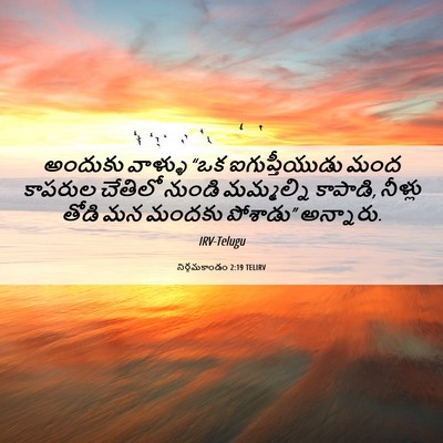 Picture 06 - నిర్గమకాండం 2:19 TELIRV - అందుకు వాళ్ళు “ఒక - Bible Verse Picture