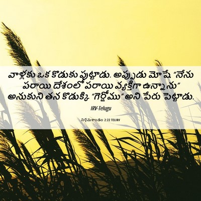 Picture 06 - నిర్గమకాండం 2:22 TELIRV - వాళ్లకు ఒక కొడుకు - Bible Verse Picture