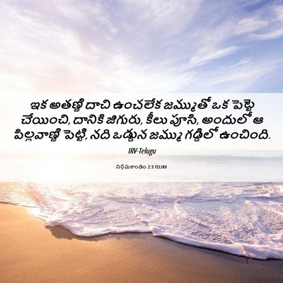 Picture 06 - నిర్గమకాండం 2:3 TELIRV - ఇక అతణ్ణి దాచి - Bible Verse Picture