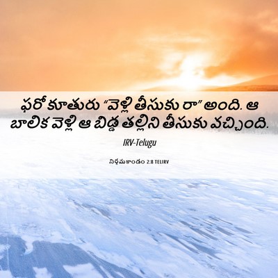 Picture 06 - నిర్గమకాండం 2:8 TELIRV - ఫరో కూతురు - Bible Verse Picture