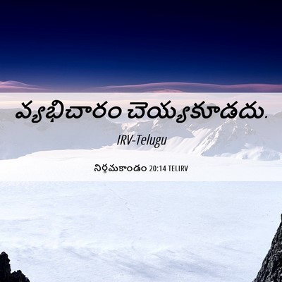Picture 06 - నిర్గమకాండం 20:14 TELIRV - వ్యభిచారం - Bible Verse Picture