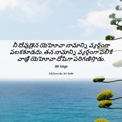 Picture 06 - నిర్గమకాండం 20:7 TELIRV - నీ దేవుడైన యెహోవా - Bible Verse Picture