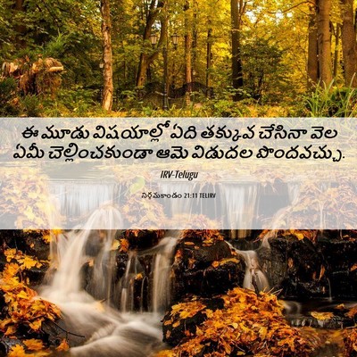 Picture 06 - నిర్గమకాండం 21:11 TELIRV - ఈ మూడు విషయాల్లో - Bible Verse Picture