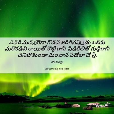Picture 06 - నిర్గమకాండం 21:18 TELIRV - ఎవరి మధ్యనైనా - Bible Verse Picture